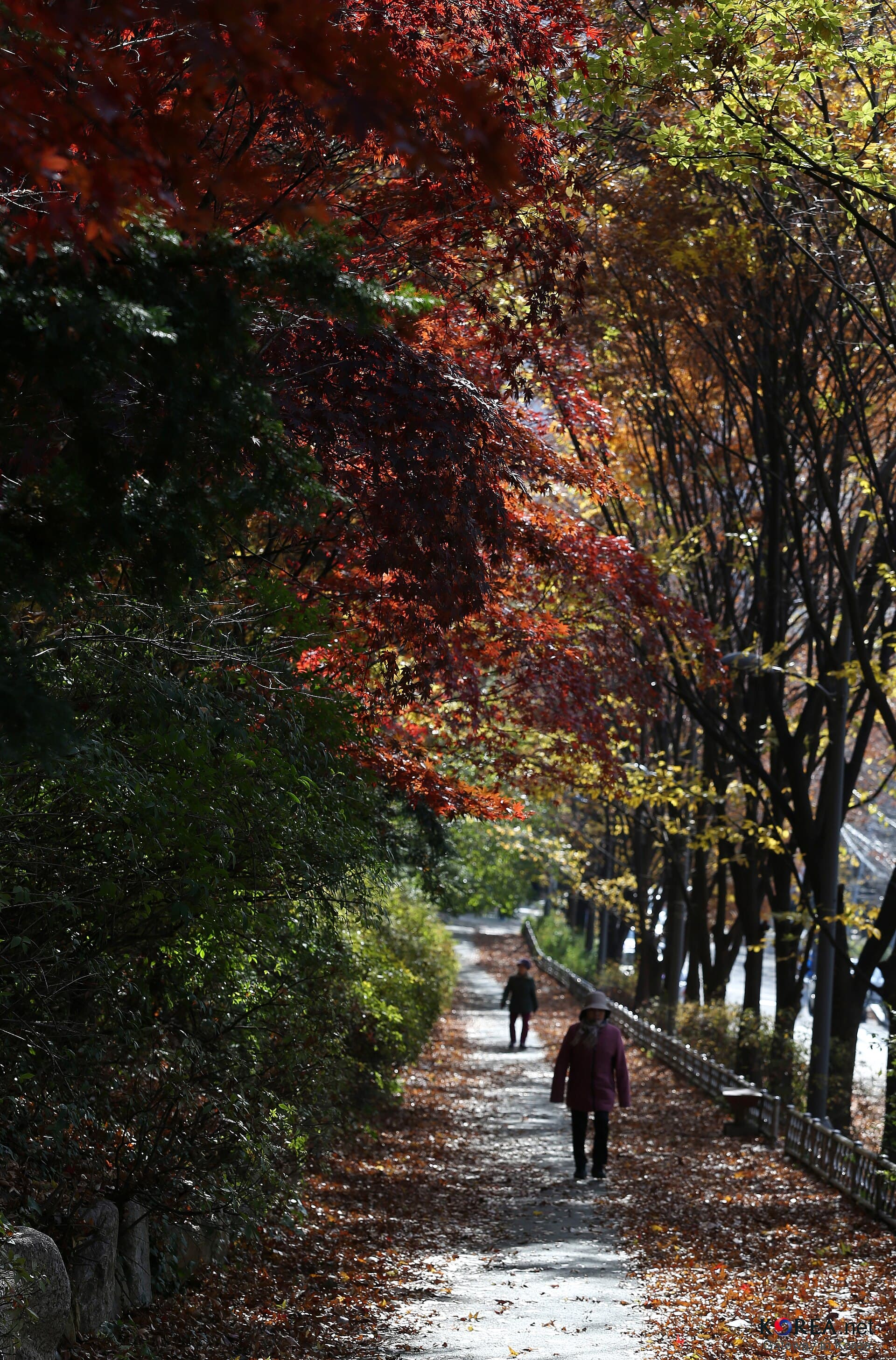 서대문 안산 겨울 산책로