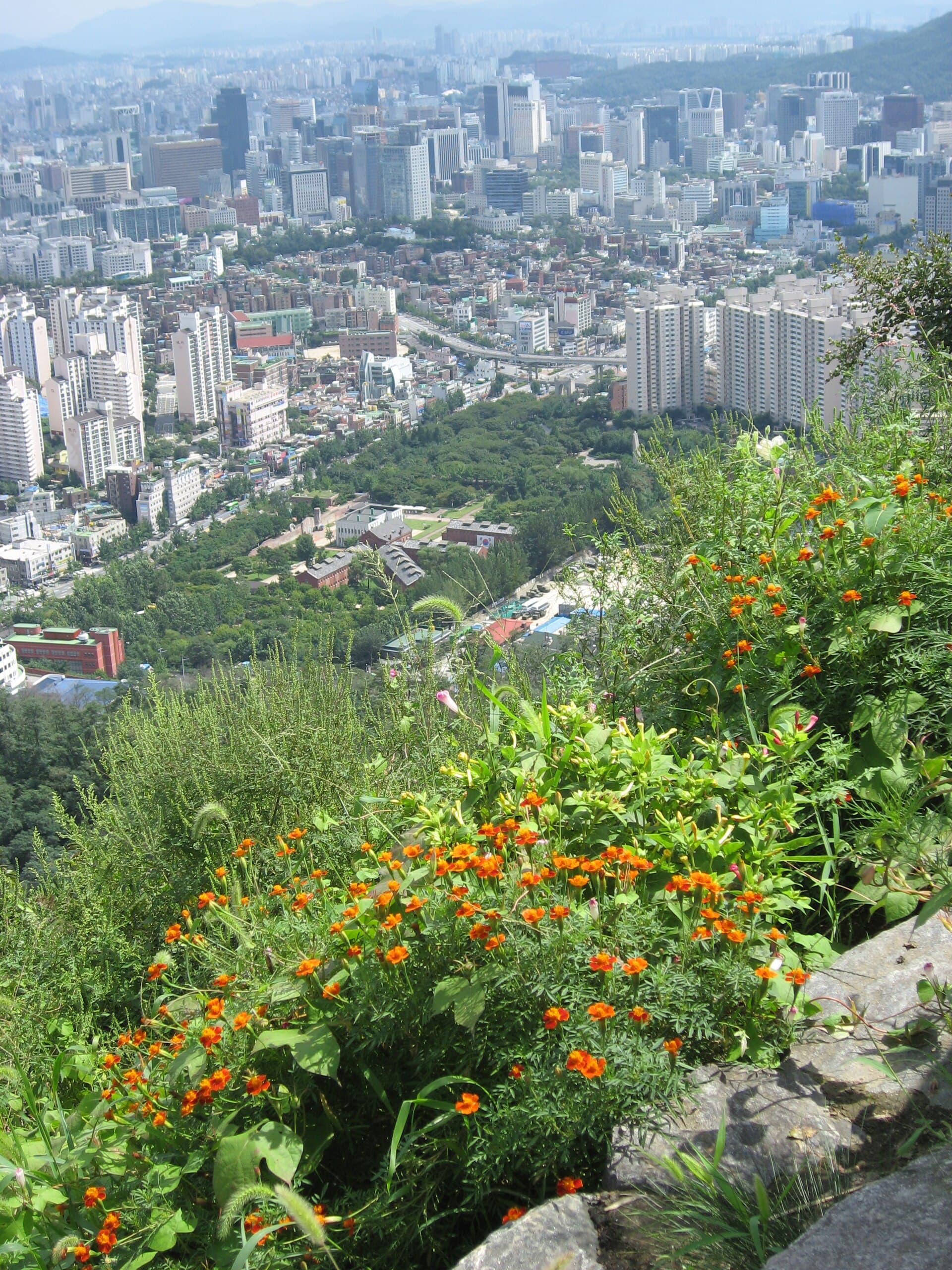서대문 안산 서울 도심 전망