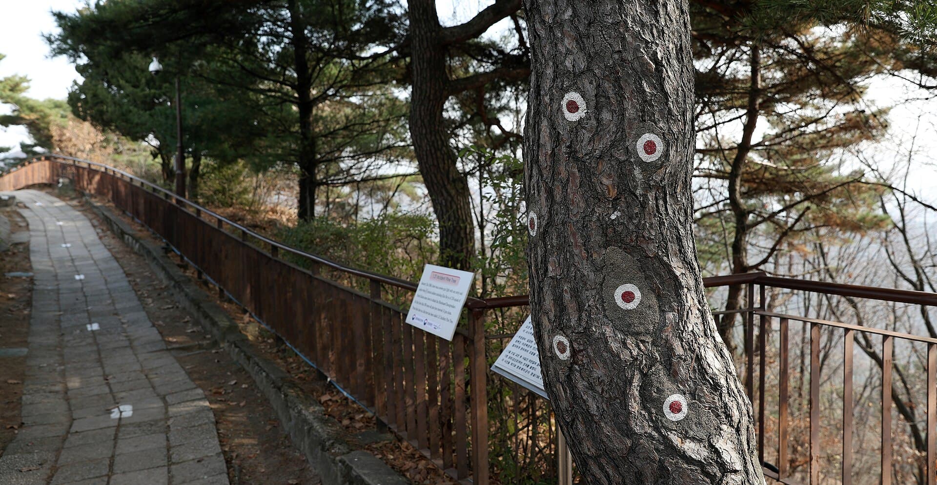 북악산 백악 구간