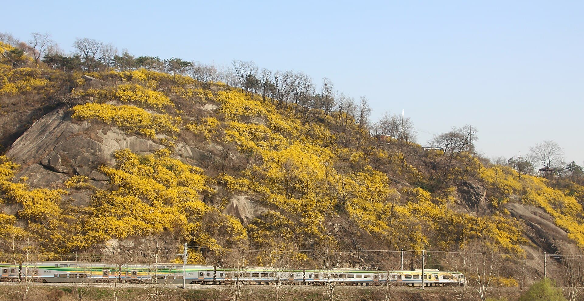 응봉산 한강 방향 전망