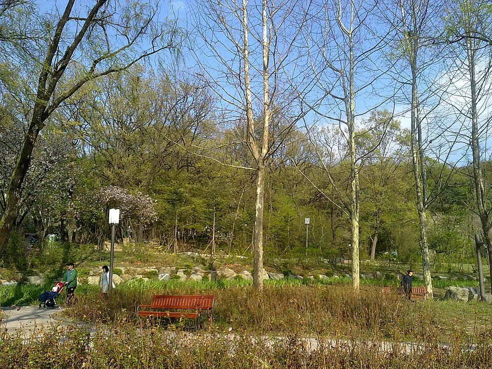 서울시립대학교에서 본 배봉산