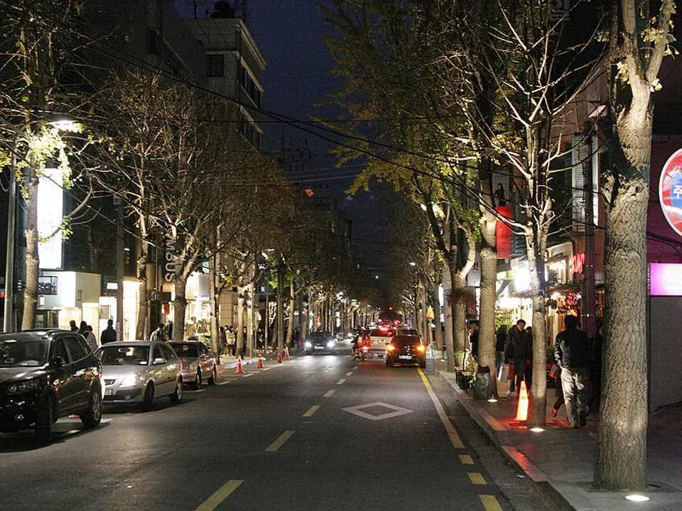 신사동 가로수길 거리