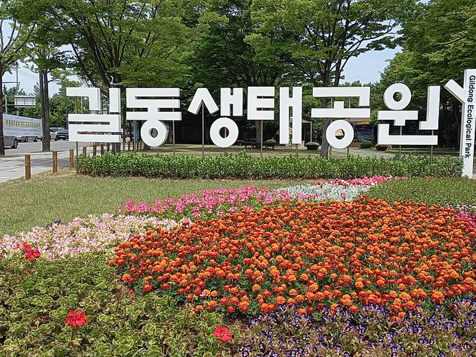 길동생태공원의 숲과 산책로