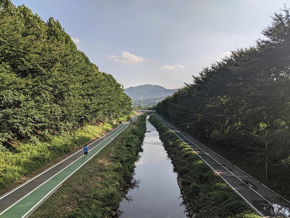 매헌시민의숲 산책로